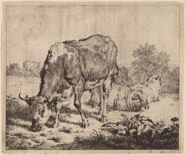 Spotted Bull and Three Sheep, 1670. Creator: Adriaen van de Velde.