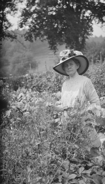 Tarbell, Ida, Miss, in her garden, 1912 or 1913. Creator: Arnold Genthe.