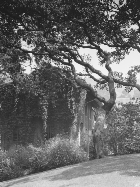 University of California at Berkeley views, 1927 Creator: Arnold Genthe.