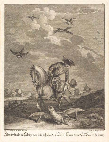 Falconeer Lifting an Owl from the Ground. Creator: Johann Elias Ridinger.
