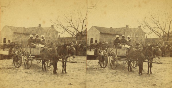 Three graces, [Three women in a mule cart], (1868-1900?). Creator: Unknown.