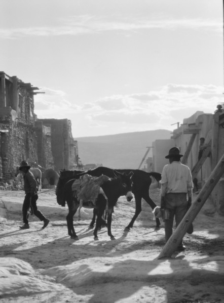 Acoma, New Mexico area views, between 1899 and 1928. Creator: Arnold Genthe.