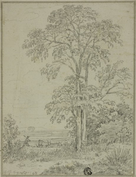 Landscape with Tree, Man, and Cows, August 7, 1765. Creator: George Howland Beaumont.