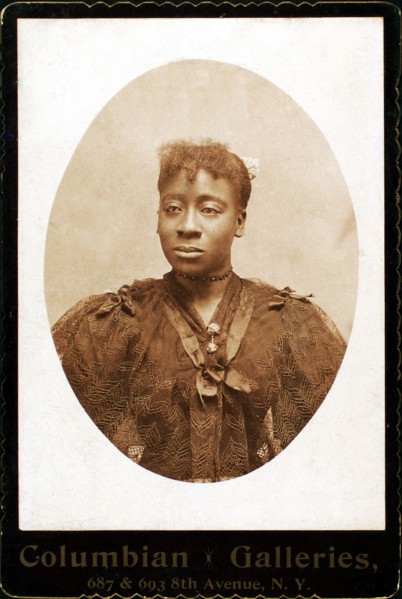 Woman wearing dress covered with lace across the bodice, c1890-c1899. Creator: Columbian Galleries.