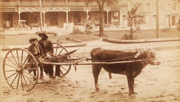 [A boy and a young man sitting on a cow-driven cart in muddy street], c1890-c1899. Creator: Unknown.