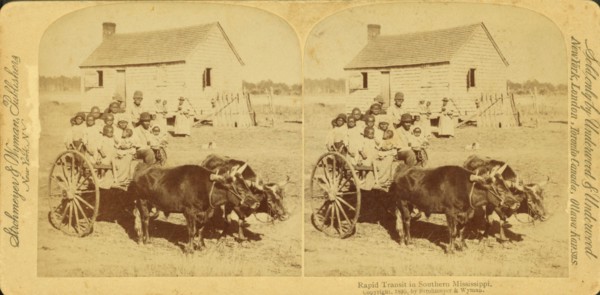 Rapid transit in southern Mississippi, [Large group of children on an oxcart], (1868-1900?). Creator: Unknown.