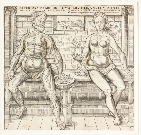 Interiorum corporis humani partium viva delineatio, from the second edition of the..., 1555/59. Creator: Monogrammist R. S..