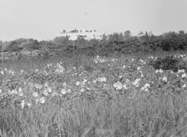 House and grounds of "The Shallows," property of Lucien Hamilton Tyng, Southampton, Long Island, 193 Creator: Arnold Genthe.