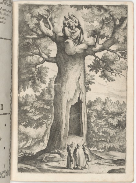Apparition of the Virgin in the Beech Tree (Faggio dell'apparizione della Vergine) [plate P], 1612. Creator: Jacopo Ligozzi.