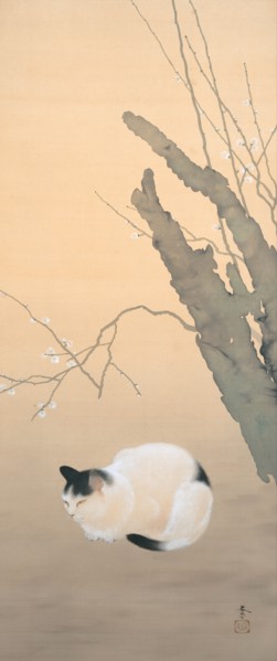Cat and Plum Blossoms, 1906. Creator: Shunso, Hishida (1874-1911).