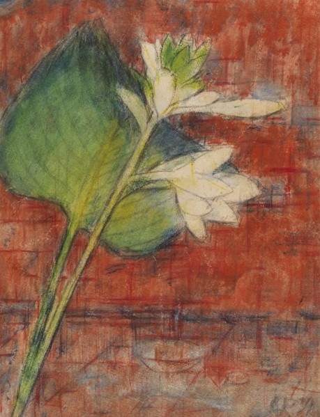 Sweetheart lilies on a red background, 1934. Creator: Rohlfs, Christian (1849-1938).