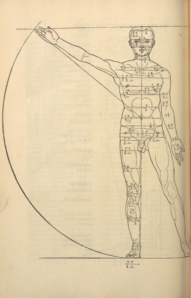 Illustration from the Four Books on Human Proportion, 1528. Creator: Dürer, Albrecht (1471-1528).