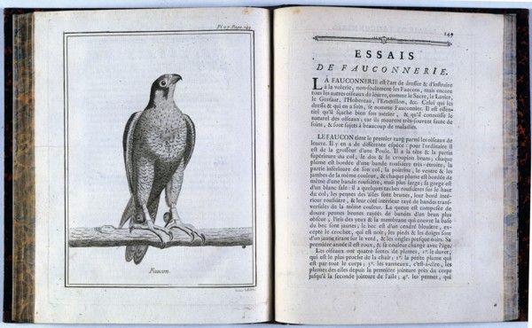 Pages of 'Traité de veneria et de chases', 1769. Creator: Unknown.