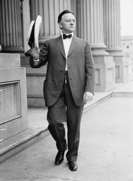 William Henry Hinebaugh, Rep. from Illinois, 1913.  Creator: Harris & Ewing.