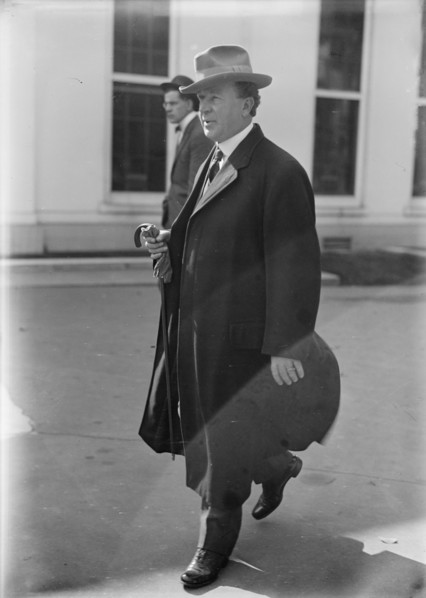 Albert Johnson, Rep. from Washington, 1914. Creator: Harris & Ewing.