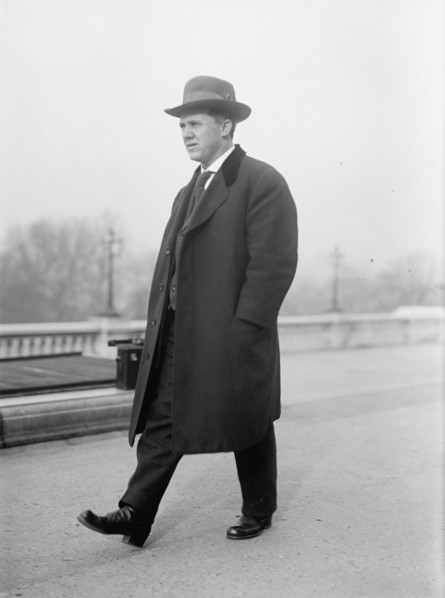David John Lewis, Rep. from Maryland, U.S. Tariff Commn, 1913.  Creator: Harris & Ewing.