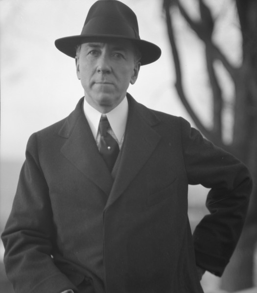 Bosworth, William Welles, Mr., portrait photograph, between 1916 and 1918. Creator: Arnold Genthe.