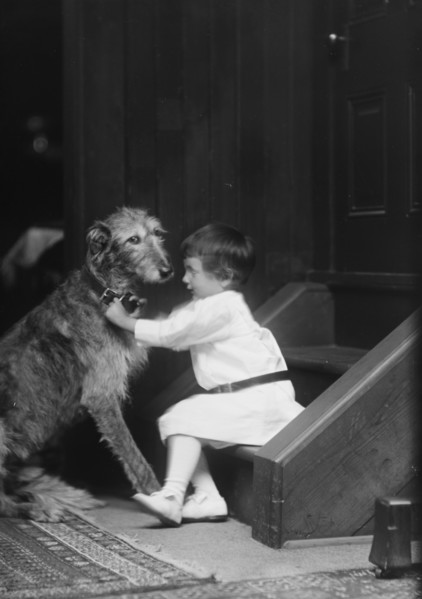 Plottner boy with dog, portrait photograph, 1907 Oct. 16. Creator: Arnold Genthe.