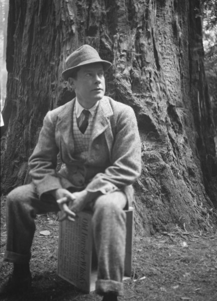 Bohemian Club Grove scene, between 1896 and 1942. Creator: Arnold Genthe.