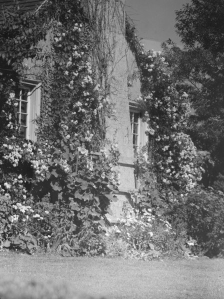 Residence of Mr. Hamilton King, 1934 July. Creator: Arnold Genthe.