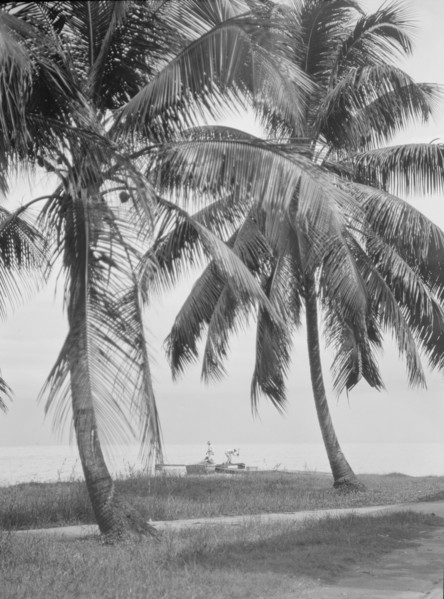Travel views of Cuba and Guatemala, between 1899 and 1926. Creator: Arnold Genthe.