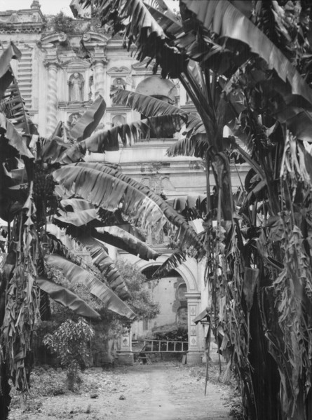 Travel views of Cuba and Guatemala, between 1899 and 1926. Creator: Arnold Genthe.