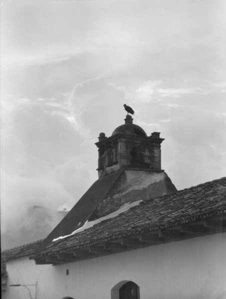 Travel views of Cuba and Guatemala, between 1899 and 1926. Creator: Arnold Genthe.