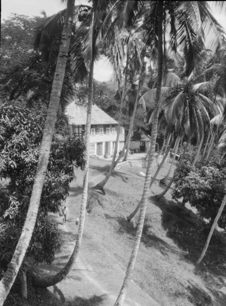 Travel views of Cuba and Guatemala, between 1899 and 1926. Creator: Arnold Genthe.
