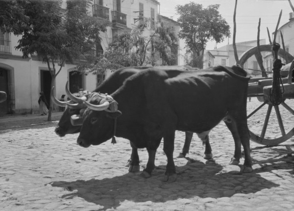 Travel views of Europe, between 1904 and 1938. Creator: Arnold Genthe.
