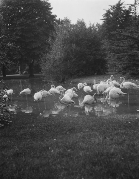 Travel views of Europe, between 1904 and 1938. Creator: Arnold Genthe.