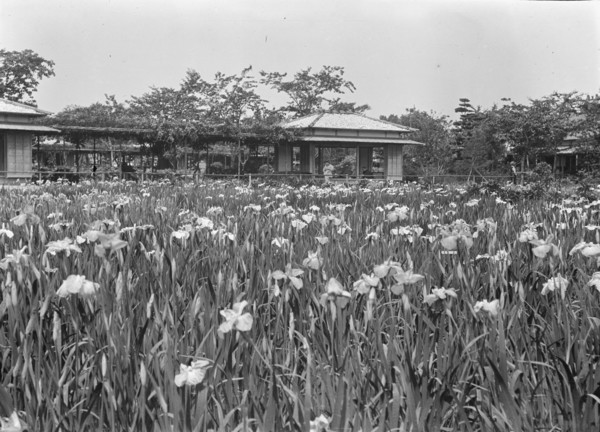 Travel views of Japan and Korea, 1908. Creator: Arnold Genthe.