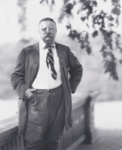 Portrait photograph of Theodore Roosevelt, 1916 Sept. 8. Creator: Arnold Genthe.