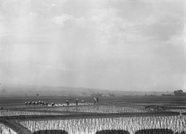 Travel views of Japan and Korea, 1908. Creator: Arnold Genthe.