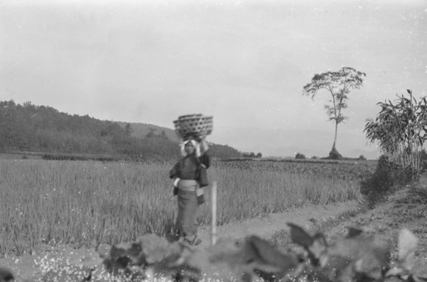 Travel views of Japan and Korea, 1908. Creator: Arnold Genthe.