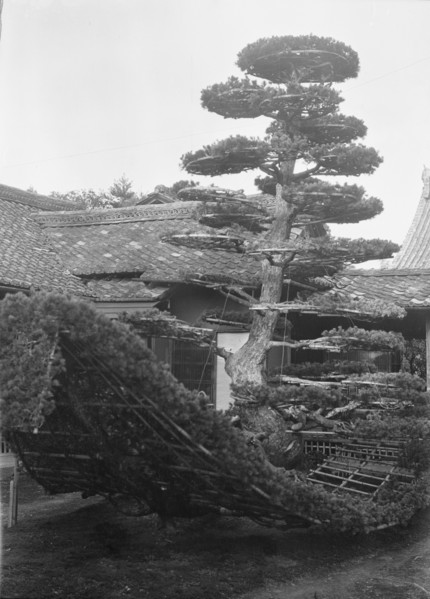 Travel views of Japan and Korea, 1908. Creator: Arnold Genthe.