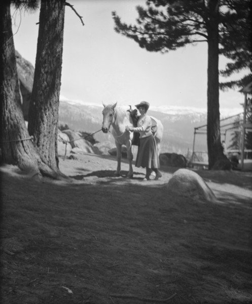 Travel views of Yosemite National Park, between 1903 and 1906. Creator: Arnold Genthe.