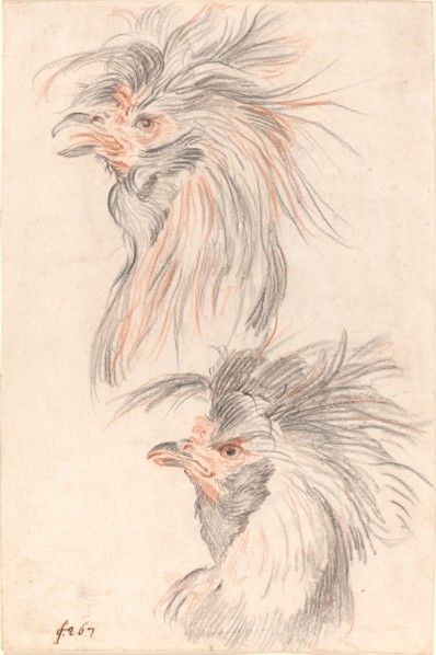 Fighting Cock, c. 1775. Creator: Johann Rudolf Schellenburg.
