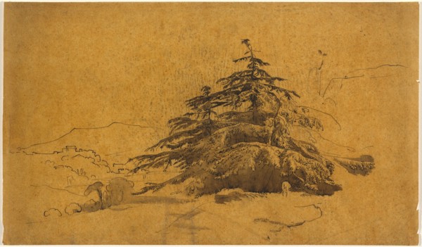 Study of Trees in a Landscape. Creator: John Varley I.
