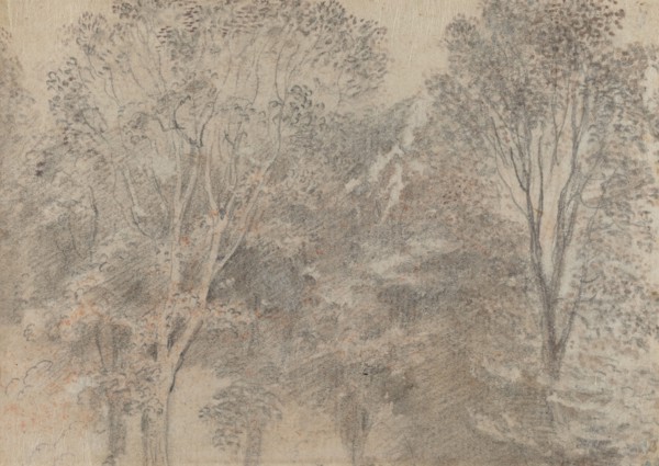 Treetops [verso]. Creator: Jean-Antoine Watteau.