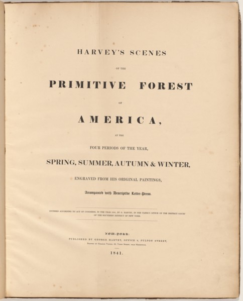 Harvey's Scenes of the Primitive Forest, 1841. Creators: William James Bennett, George Harvey, George Harvey.