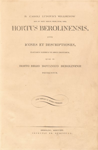 Hortus Berolinensis, 1816. Creators: Carl Ludwig Willdenow, Friedrich Guimpel.