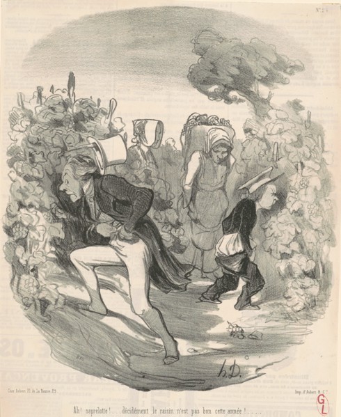 Ah! Saperlotte! ... Le raisin n'est pas bon cette année! ..., 19th century. Creator: Honore Daumier.