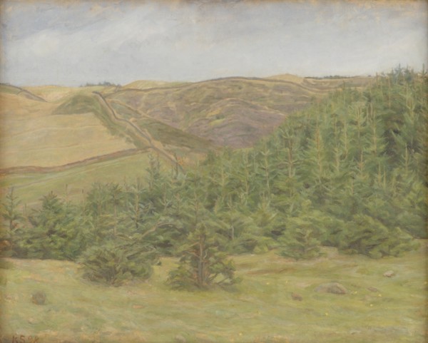 Svanninge Hills, Funen, 1898. Creator: Karl Schou.