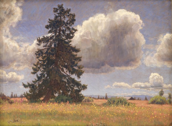 Spruce Tree in a Summer Pasture. Norway, 1914. Creator: Niels Skovgaard.