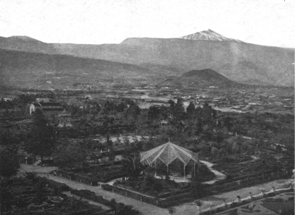 ''Le Pic de Tenerife; L'Ouest Africain', 1914. Creator: Champagne.