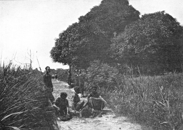 ''La taille d'un sentier dans les forets du Congo Belge; L'Ouest Africain', 1914. Creator: Unknown.