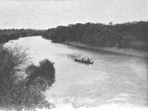 ''Le Vaalschriver a Kroonstadt; Afrique Australe', 1914. Creator: Unknown.