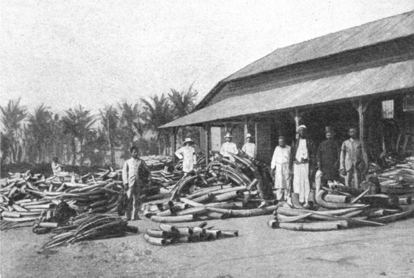 ''Un depot d'ivoire dans lAfrique orientale allemande; Afrique Australe', 1914. Creator: Unknown.