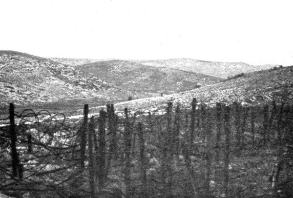 'La grande attaque du Carso (aout 1916); Sur le Carso de Monfalcone: massif du Mont Cosich', 1916 Creator: Unknown.