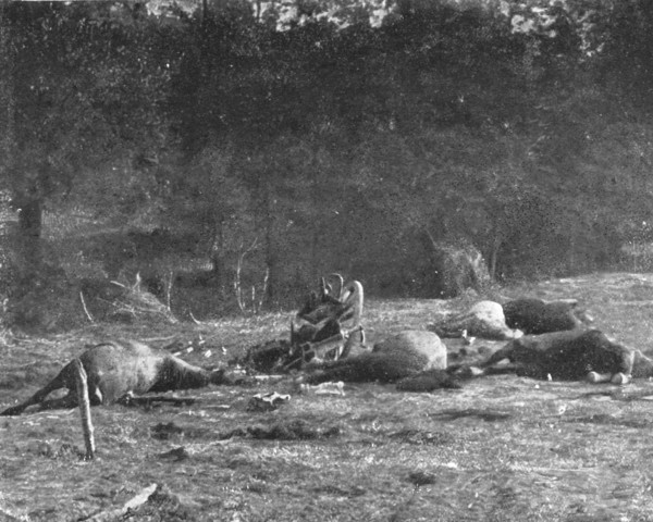 'Scenes de Guerre; Au cours la poursuite, un de nos obus tombe sur un caisson allemand', 1914 Creator: Unknown.